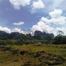 Cliff View Land for Sale 5916 sq.m, Nong Thale