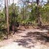 Land for Sale 2.5 acre, 32174 Oil Well Road, Zip Code 33955