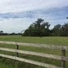 Land for Sale 5 acre, 606 Rye Road East, Zip Code 34212