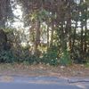 Land for Sale 0.23 acre, 601 West 8th Street, Zip Code 32401