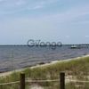 Land for Sale 1 acre, Lake Drive, Zip Code 32578 4