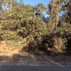 Land for Sale 0.3 acre, Baldpate Road, Zip Code 32702 3