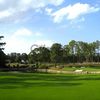 Land for Sale 0.53 acre, 24 Pinehurst, Zip Code 75931 3