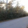 Land for Sale 0.4 acre, WARDS BASIN LOT 7 BLK 3 AS DES IN OR 3555 PG 2047709 Sunfish Lane, Zip Code 32583 1