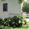 Home for Sale 1500 sq.ft, 6381 Trenton Road, Zip Code 13502 1