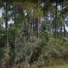 Land for Sale 0.55 acre, 5549 Bay Meadows Drive, Zip Code 32583