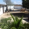 Rustic finca with chalet - Andalucia - Malaga - Campillos
