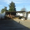 Rustic finca with chalet - Andalucia - Malaga - Campillos