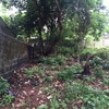 Residential land for sale or exchange of property at kakkanad, kochi 1