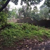 Residential land for sale or exchange of property at kakkanad, kochi 2
