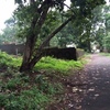 Residential land for sale or exchange of property at kakkanad, kochi 3