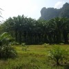 Land for Sale 14400 sq.m