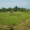 Land for Sale 14400 sq.m