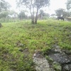 Land for sale a little over an acre in Reserva Natural Cerro Apante Matagalpa city, Nicaragua. 4