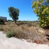7 Bedroom Country house for Sale 285 sq.m, Elche