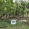 Land for Sale 2 acre, 23RD Place, Zip Code 32008