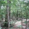 Land for Sale 2 acre, 23RD Place, Zip Code 32008