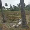 2 acre agricultural land for sale