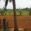 3.5 acre agricultural land for sale