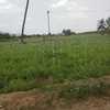 5 acre agricultural land for sale