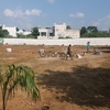 Uit converted plots 2