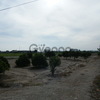 Plot for Sale 44.91 a, Daya Nueva 1