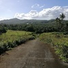 5.2 Hectares Lot for sale