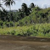 5.2 Hectares Lot for sale