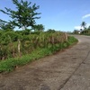 18 Hectares Lot for Sale