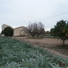 3 Bedroom Country house for Sale 300 sq.m, Formentera del Segura 1