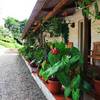 Cottages in thekkady periyar with classic accommodation