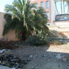 Plot for Sale 4.5 a, Daya Vieja 4