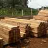 Good quality iroko sawn timber for sale