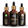 Moroccan organic argan oil exporter