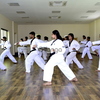Roy's Taekwondo Academy (regd.)