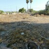 4 Bedroom Country house for Sale 212 sq.m, Campo de Guardamar 4