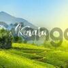 kerala tour package