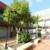 Business premises for Sale 50 sq.m, San Fulgencio