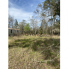 Land for Sale 672 sq.ft, 4427 Bondarenko Rd, Zip Code 32656