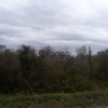 Land for Sale 1.25 acre, 15204 NW 272nd St, Zip Code 34972