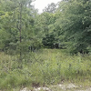 Land for Sale 4.6E-5 acre, 122 N Main St, Zip Code 31791