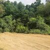 Land for Sale 14 sq.ft, 727 Pearson Bridge Rd, Zip Code 28806 2