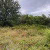 Land for Sale 0.28 acre, 432 SW Log Dr, Zip Code 34953 3
