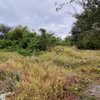 Land for Sale 0.28 acre, 432 SW Log Dr, Zip Code 34953 4