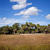 Land for Sale 1.25 acre, 17120 NW 306th Street (~10 segments), Zip Code 34972
