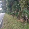 Land for Sale 0.81 acre, 0 N C Rd 470, Zip Code 33538