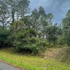 Land for Sale 459 sq.ft, Gainsboro St, Zip Code 34291