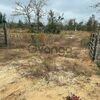 Land for Sale 2.5 acre, Singer Rd, Zip Code 32466