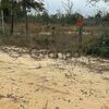 Land for Sale 2.5 acre, Singer Rd, Zip Code 32466