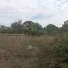 Land for Sale 1.25 acre, 7357 Alan Blvd, Zip Code 33982 1